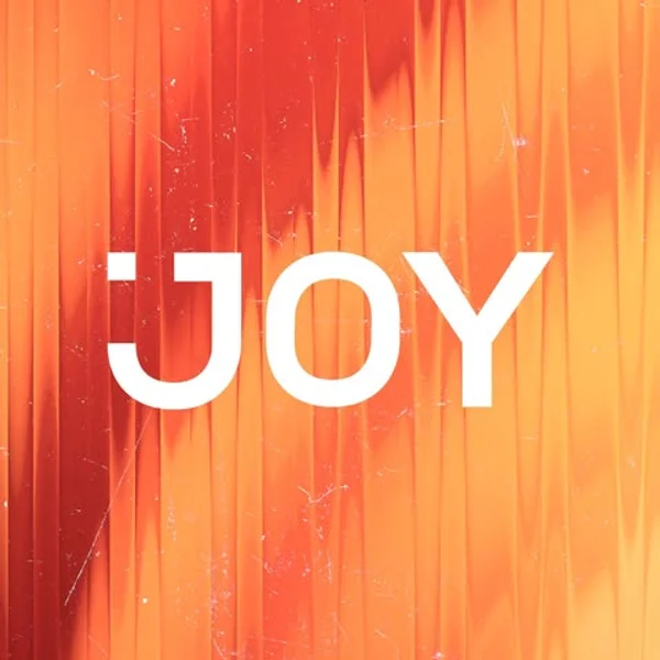Joy x Flow Festival